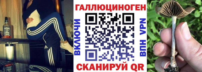 Псилоцибиновые грибы MAGIC MUSHROOMS Весьегонск